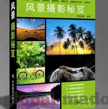国产日韩av在线播放-国产日韩AV在线播放，文化与市场的交汇