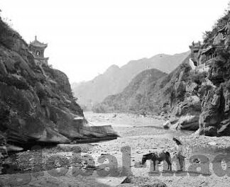 久久久麻豆91-麻豆91——久别重逢里的浪漫与日常