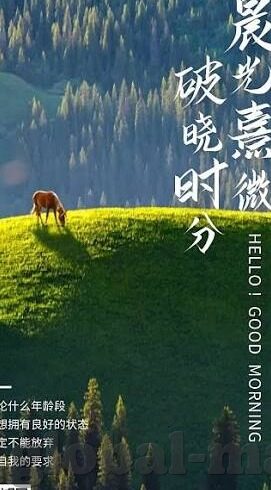 麻豆的app-麻豆的app，现代社交娱乐与内容创新的交汇点