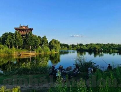 沈芯语麻豆文化传媒视频-探秘沈芯语，麻豆文化传媒视频中的独特魅力