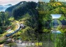 武则天伦理片-武则天，权力与伦理的交织画卷